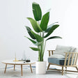 Large Artificial Banana Tree Indoor Green Plant for Home Garden & Floor Decorations
