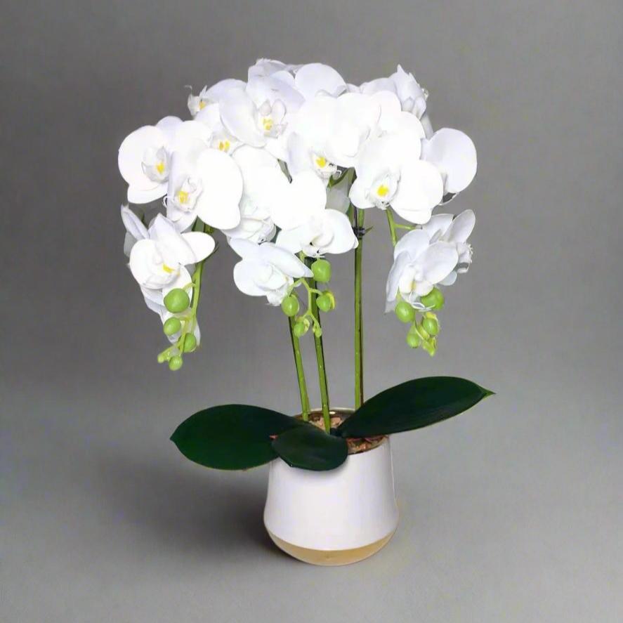 Luxury Real Touch Orchid Plant with Ceramic Pot & White Stones Elegant Faux Floral Decor