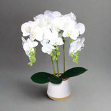 Luxury Real Touch Orchid Plant with Ceramic Pot & White Stones Elegant Faux Floral Decor