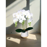Luxury Real Touch Orchid Plant with Ceramic Pot & White Stones Elegant Faux Floral Decor
