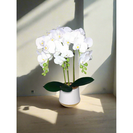 Luxury Real Touch Orchid Plant with Ceramic Pot & White Stones Elegant Faux Floral Decor