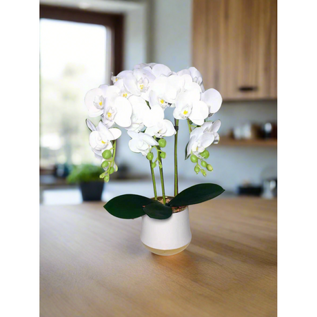 Luxury Real Touch Orchid Plant with Ceramic Pot & White Stones Elegant Faux Floral Decor
