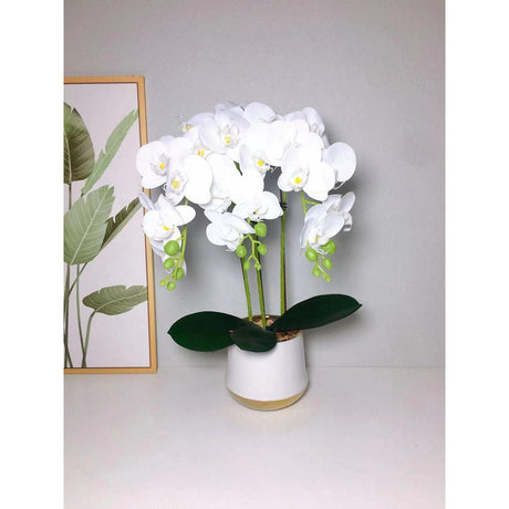 Luxury Real Touch Orchid Plant with Ceramic Pot & White Stones Elegant Faux Floral Decor