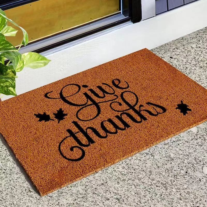 Novelty Entry Door Mat 40cm x 60cm