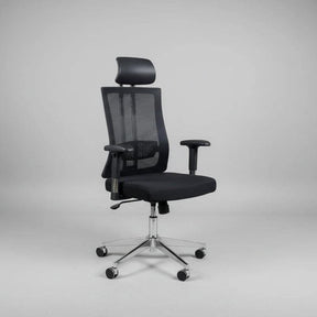 Orthopedic Mesh Office Chair with Adjustable Armrests and Headrest Furniture Office Chairs