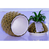 Pineapple Ceramic Cannister with Green Leaf 16x17x12cm, Decorative Storage Jar