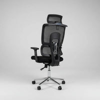 Premium Orthopedic Mesh Office Chair with Double Back Support and Adjustable Headrest Furniture Office Furniture