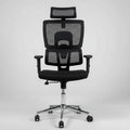 Premium Orthopedic Mesh Office Chair with Double Back Support and Adjustable Headrest Furniture Office Furniture