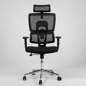 Premium Orthopedic Mesh Office Chair with Double Back Support and Adjustable Headrest Furniture Office Furniture