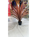 Real Touch Artificial Bonsai Gladiolus Plant 60cm with 56 Leaves Decor Artificial Flowering Plants