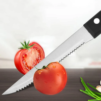 STAINLESS STEEL SERRATED STEAK KNIFE SET | 6PCS Small Kitchen Appliances Knife Guides