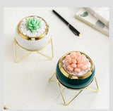 Simple Creative Succulent Planter – Ceramic Pot with Gold Frame, Includes Artificial Flower and White Stones, Available in Green, Gold, and White