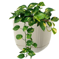 CORAL SQUARE PLANTER (POT only) - 4ltr Plastic Home & Garden Planters