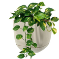CORAL SQUARE PLANTER (POT only) - 4ltr Plastic Home & Garden Planters