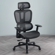 Ergonomic Dual-Lumbar High-Back Office Chair Office Chairs