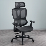 Ergonomic Dual-Lumbar High-Back Office Chair Office Chairs