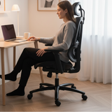 Ergonomic Dual-Lumbar High-Back Office Chair Office Chairs