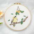 Cross Stitch Embroidery Kit - 20cm Hoop Craft Kit Needlecraft Kits