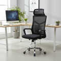 Ergonomic Office Chair with Mesh Back and Adjustable Headrest Furniture Office Chairs