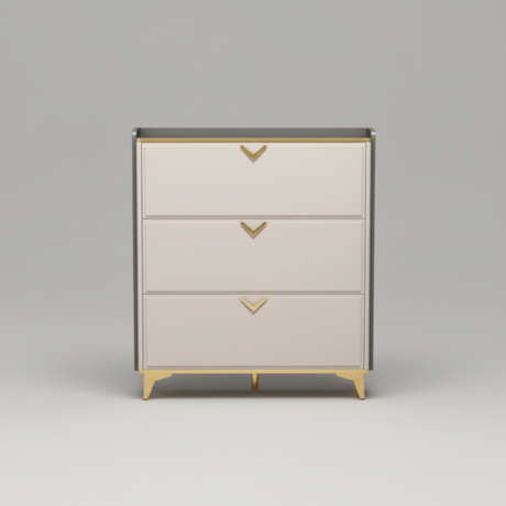 Shoe Rack - Modern Cabinet 80cm x 24cm with Gold Accents