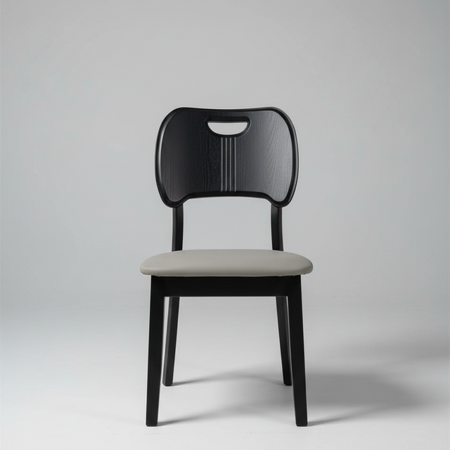 Dining Chair - Modern with Cushioned Seat