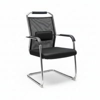 Office Chair - Mesh Back Visitor Chair with Lumbar Pad and Chrome Sled Base Furniture Office Chairs