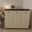 3-Door Shoe Cabinet Furniture Shoe Cabinets