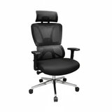 Mesh High-Back Ergonomic Office Chair Office Chairs