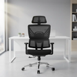 Contour Mesh Ergonomic Office Chair Office Chairs