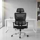 Contour Mesh Ergonomic Office Chair Office Chairs