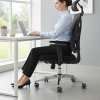 Contour Mesh Ergonomic Office Chair Office Chairs