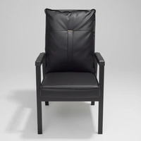 High-Back Outdoor Armchair with Cushion - 5 Colours Outdoor Chair Uncategorized