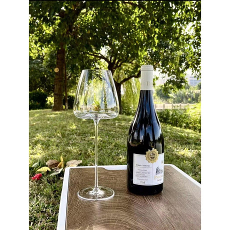 Set of 6 Long Stem Wine Glasses – Lightweight, 720ml