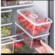 Sleek Acrylic Fridge Storage Container with Date Tracker – 24.5x16.2x11.5cm