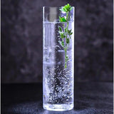 Slim Light Tall Astra Heavy Duty Highball Glasses with Thin Base | 6 Piece Set | 310ml