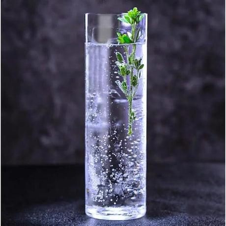 Slim Light Tall Astra Heavy Duty Highball Glasses with Thin Base | 6 Piece Set | 310ml
