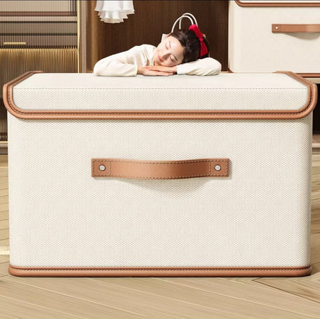 Upgraded Large Capacity Oxford Fabric Wardrobe Organizer | 44 x 30 x 29 cm