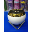 Nordic Succulent Plant Flower Pot | Gold Ceramic Planter for Home Decor | Available in White & Green- Furaha Finds Kenya