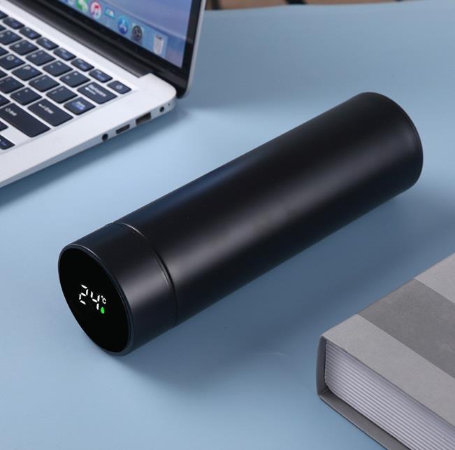 Portable Lightweight 500ml Temperature Display Vacuum Flask