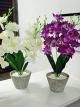 Bonsai Style Artificial Blossom Flowers | Elegant and Low Maintenance Potted Plants | Office Desktop Flowers | Dining Centerpieces | Airbnb Home Decoration