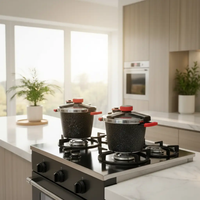 6L Granite Pressure Cooker, Gas & Induction Compatible Cookware & Kitchen Appliances Pressure Cookers