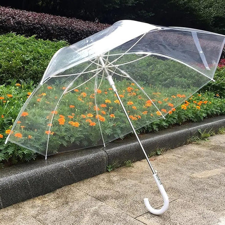 Big Size Transparent Umbrella Umbrellas & Rain Accessories Rain Umbrellas