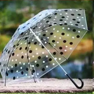 Transparent Polka Dot Umbrella Umbrellas & Rain Accessories Rain Umbrellas