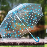 Transparent Polka Dot Umbrella Umbrellas & Rain Accessories Rain Umbrellas