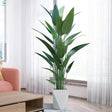 Real Touch Strelitzia Plant – 180cm Artificial Plants & Decor Artificial Non-Flowering Plants
