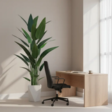 Real Touch Strelitzia Plant – 180cm Artificial Plants & Decor Artificial Non-Flowering Plants