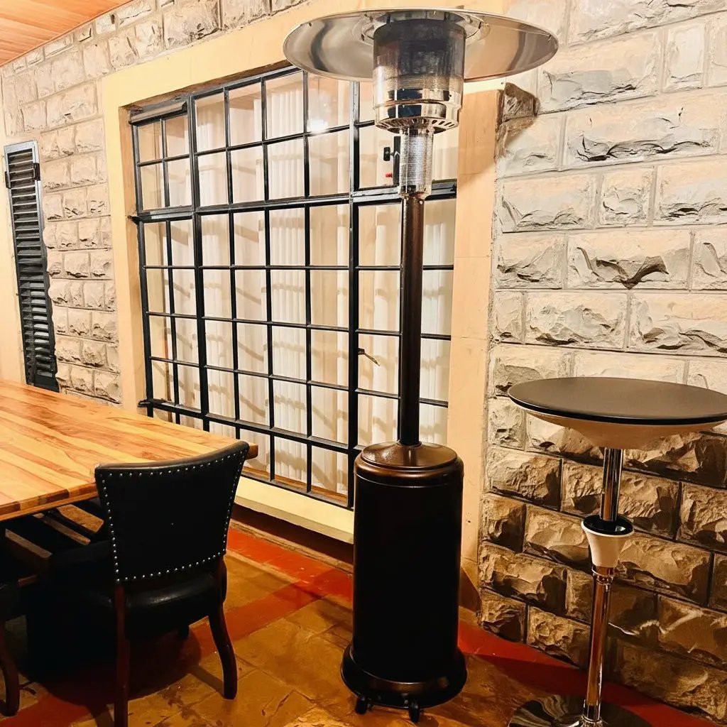 Premium Mushroom Patio Gas Heater for Indoor and Outdoor Use Outdoor & Patio Patio Heaters