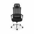 High-Back Mesh Office Chair with Headrest & Chrome Frame Office Chair Office Chairs
