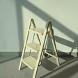 3-Layer Metallic Ladder Shelf Shelving & Storage Ladder Bookcases & Shelves