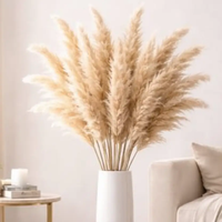 15pcs Dried Pampas Grass Home Décor Dried Flowers